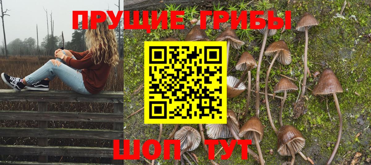 Псилоцибиновые грибы Magic Shrooms  Вход с VPN  Мурманск 